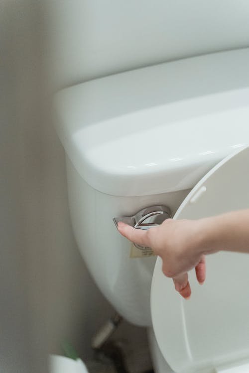 Desentupidora de Vaso Sanitário em São Vicente